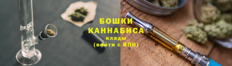 Каннабис SATIVA & INDICA  Алзамай 